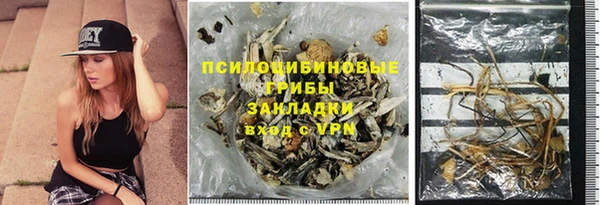 таблы Новодвинск
